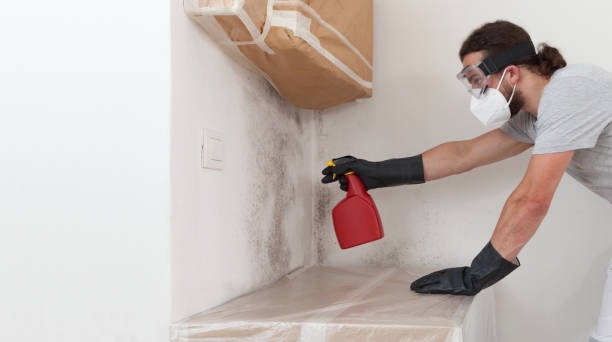 Professional Attic Mold Remediation technician working in Oakland, FL